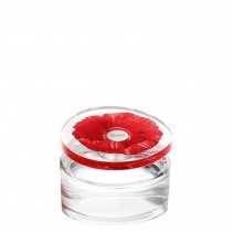 Kenzo Flower In The Air