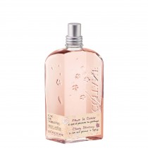 L'Occitane Cherry Blossom