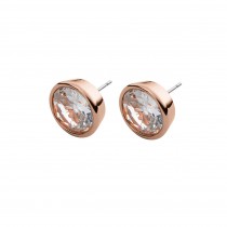 Cercei Michael Kors BRILLIANCE MKJ2821791