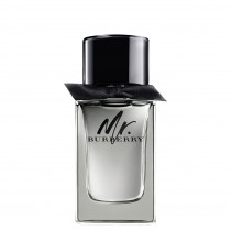 Burberry Mr Burberry